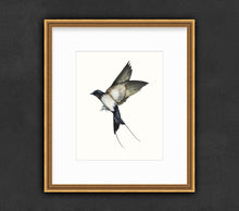 Load image into Gallery viewer, “A Soft Place To Land” Fine Art Print - Swallow (2021)
