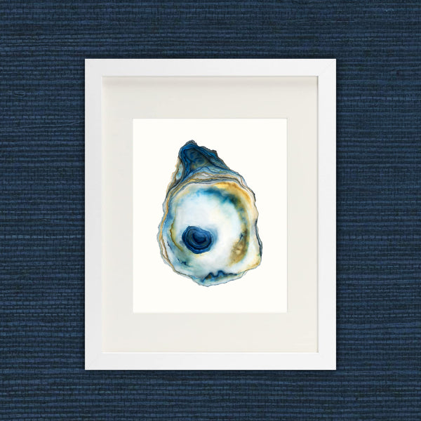 Blue Raju - Oyster Fine Art Print