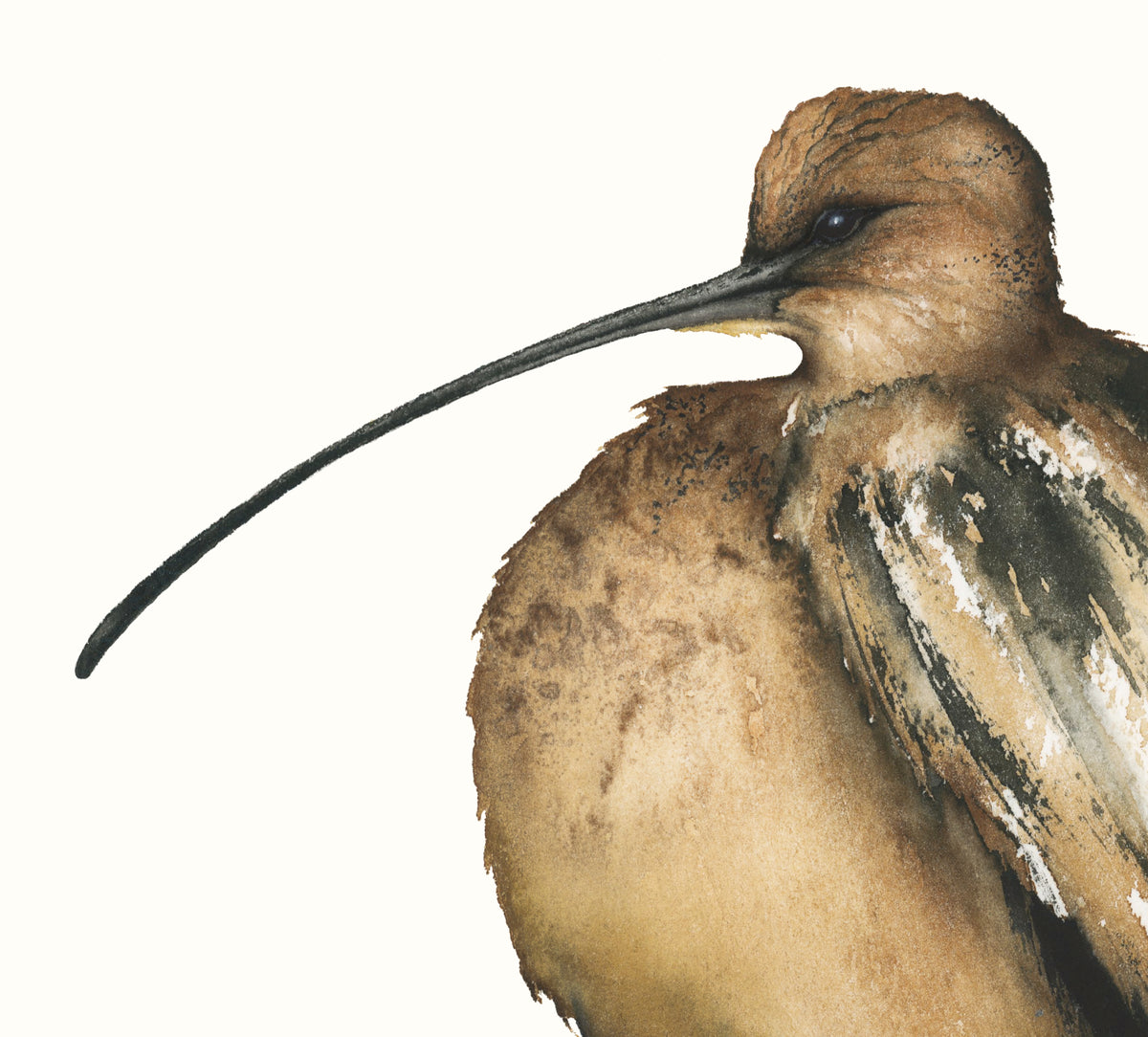 Changing the Game - Long-billed Curlew Fine Art Print
