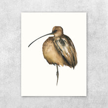 Load image into Gallery viewer, “Changing the Game” Fine Art Print - Long Billed Curlew (2021)
