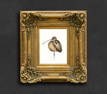 Load image into Gallery viewer, “Changing the Game” Fine Art Print - Long Billed Curlew (2021)
