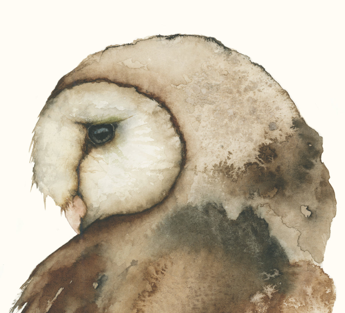 Coy Pond - Barn Owl Original Watercolor, 8.25x11