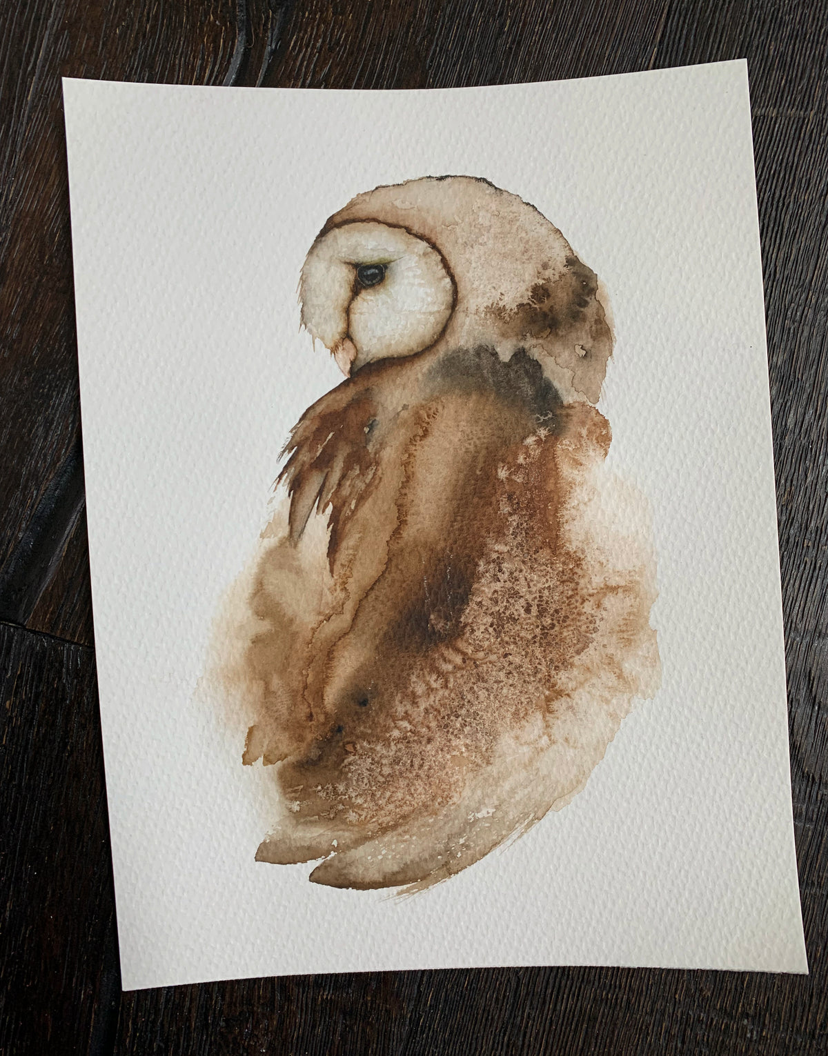 Coy Pond - Barn Owl Original Watercolor, 8.25x11