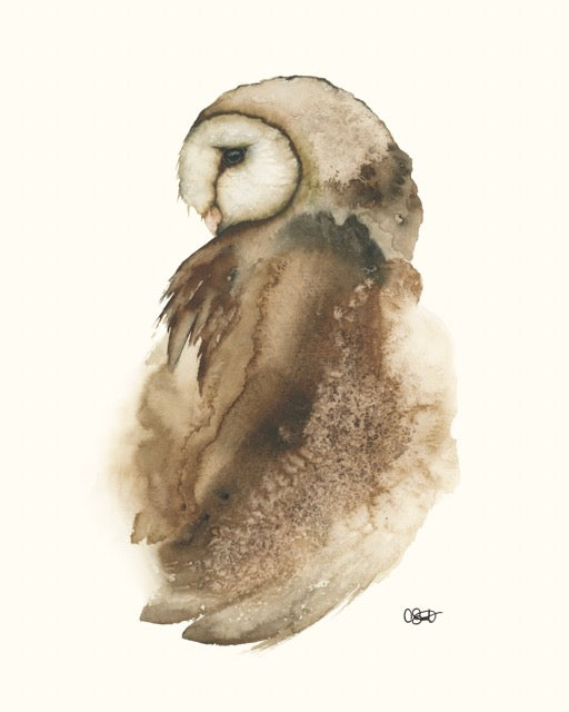 Coy Pond - Barn Owl Fine Art Print