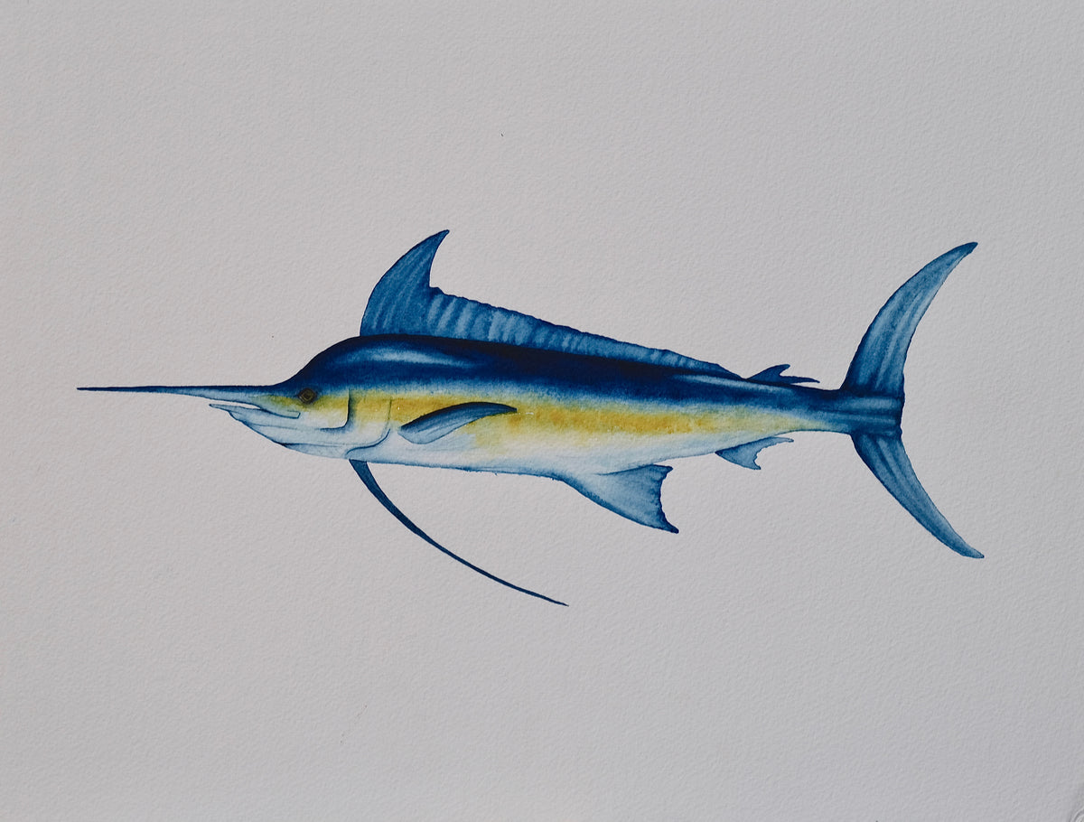 Captain Blu - Blue Marlin Original Watercolor, 12x16