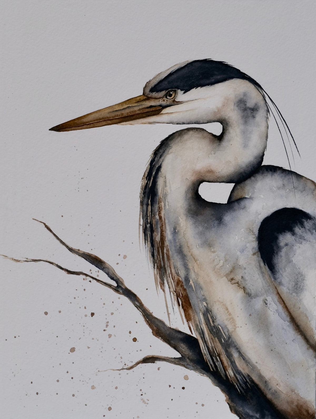 Still I Rise - Great Blue Heron Original Watercolor, 9x12