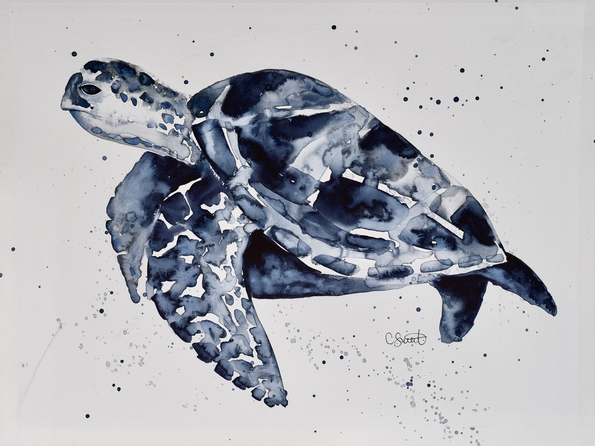 Midnight - Sea Turtle Original Watercolor, 9x12