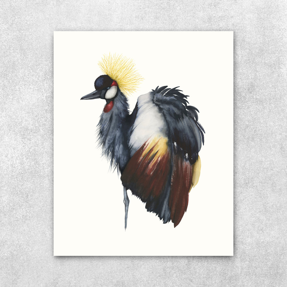 Fancy, Don't Let Me Down - Grey Crowned Crane Original Watercolor, 16x20