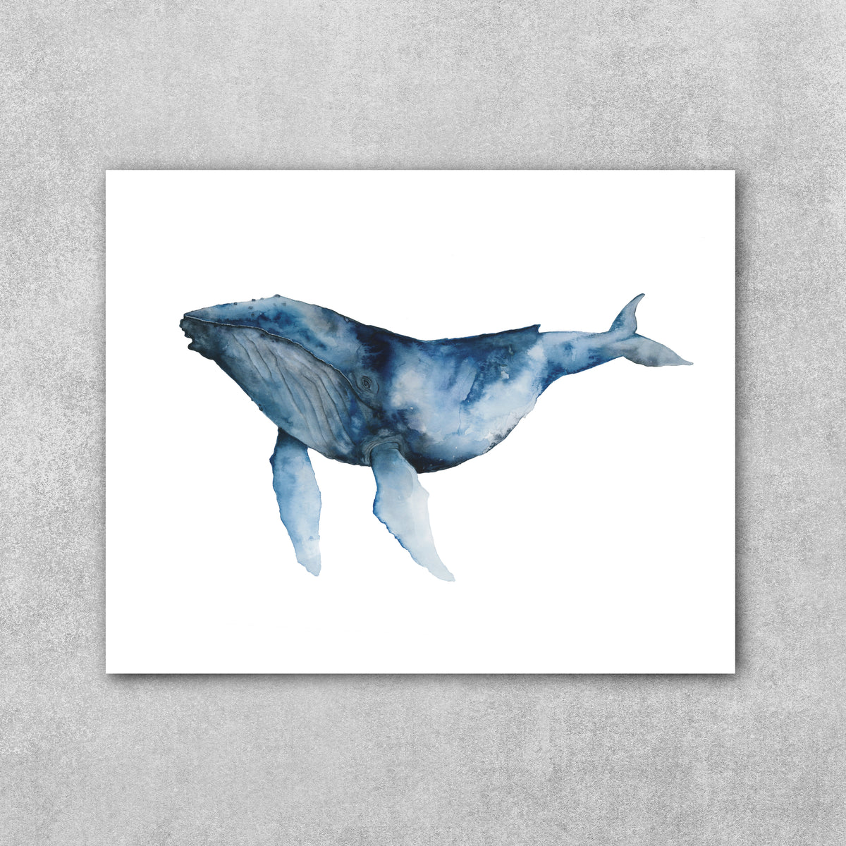 Grace of Being - Humpback Whale Fine Art Print