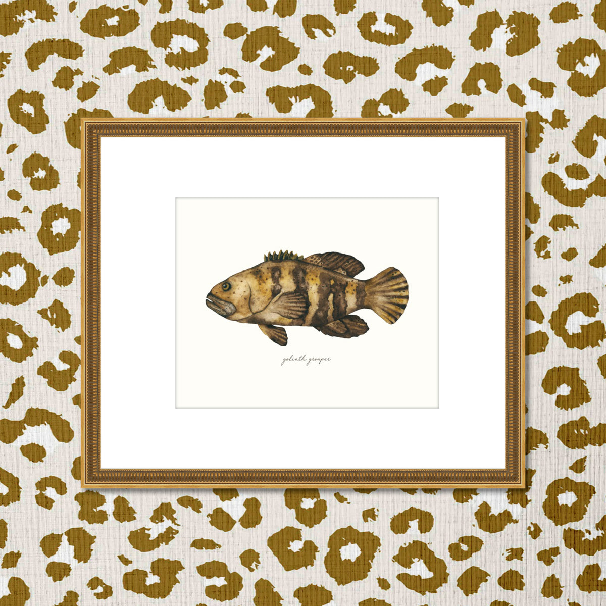 His Groupie - Grouper Fine Art Print