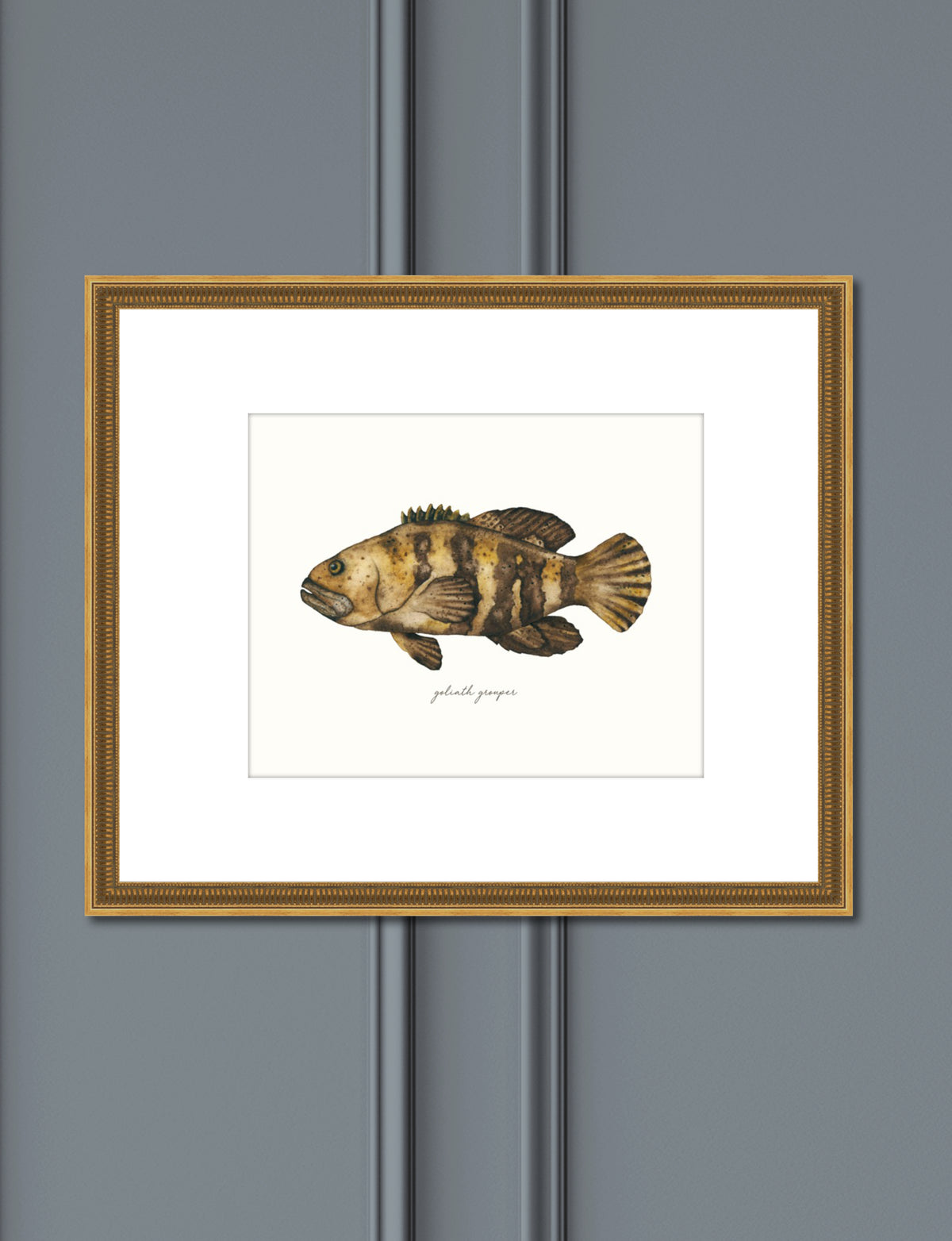 His Groupie - Grouper Fine Art Print