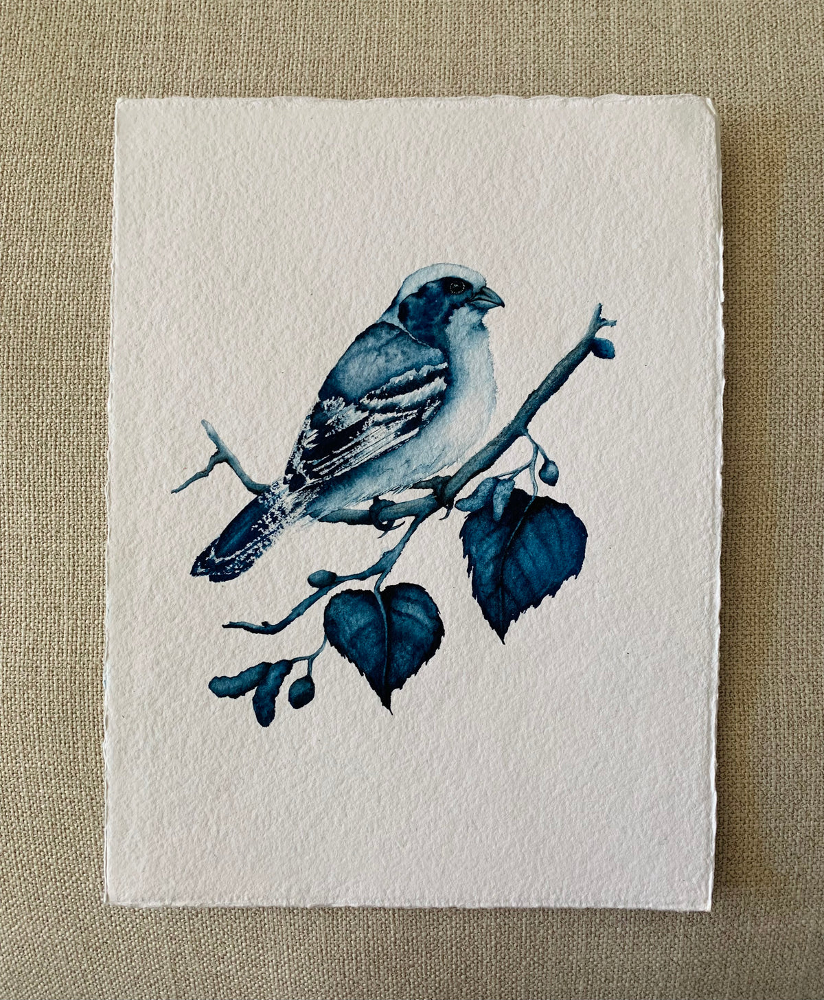 Moonlight - Sparrow Original Watercolor, 9x12