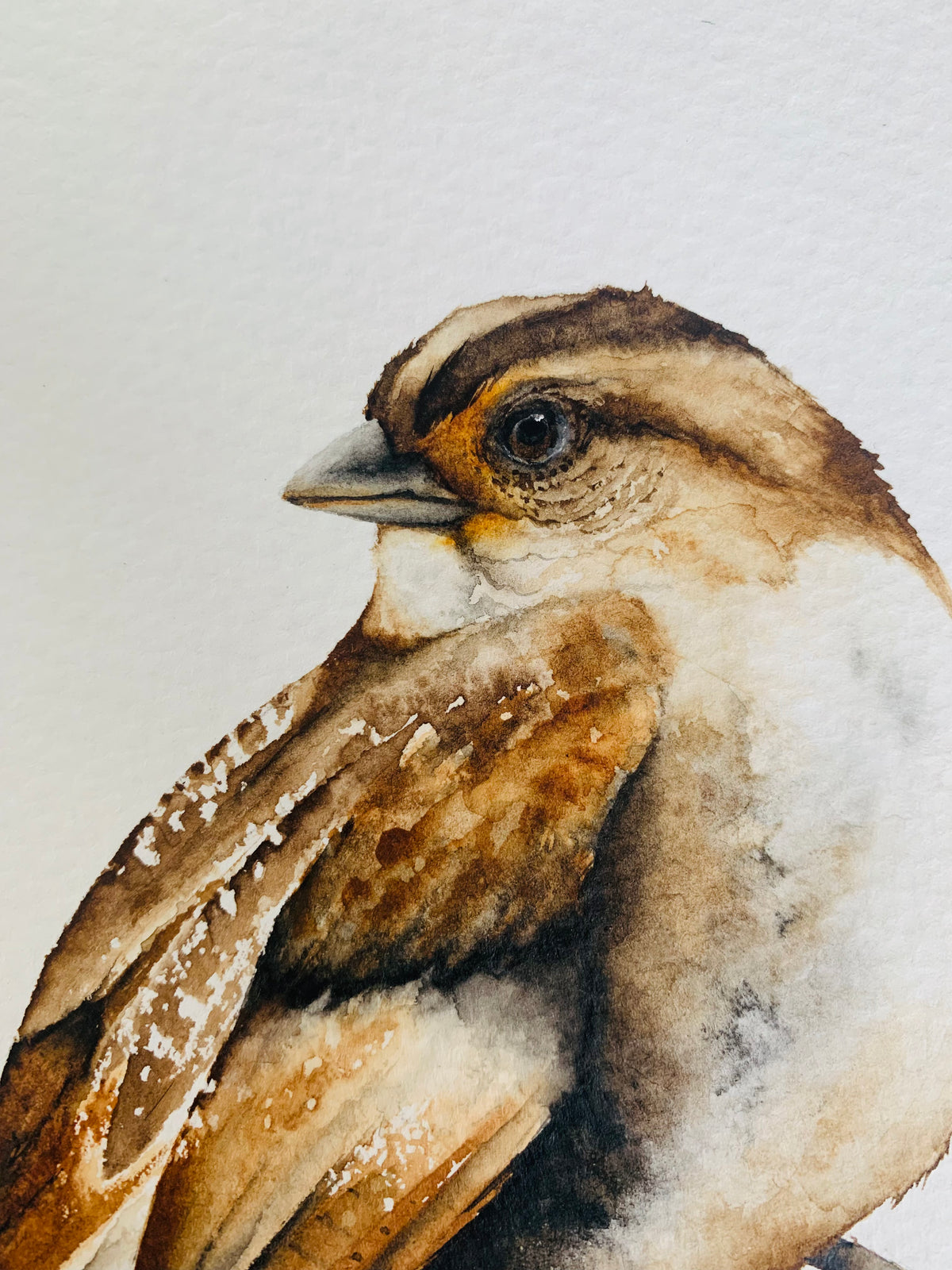 Serendipity - Sparrow Original Watercolor, 9.75x7.25