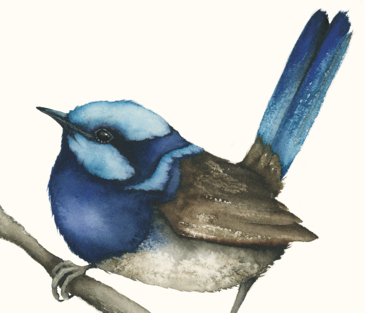 If I Was a Bluebird - Fairy Wren Original Watercolor, 10x8.25