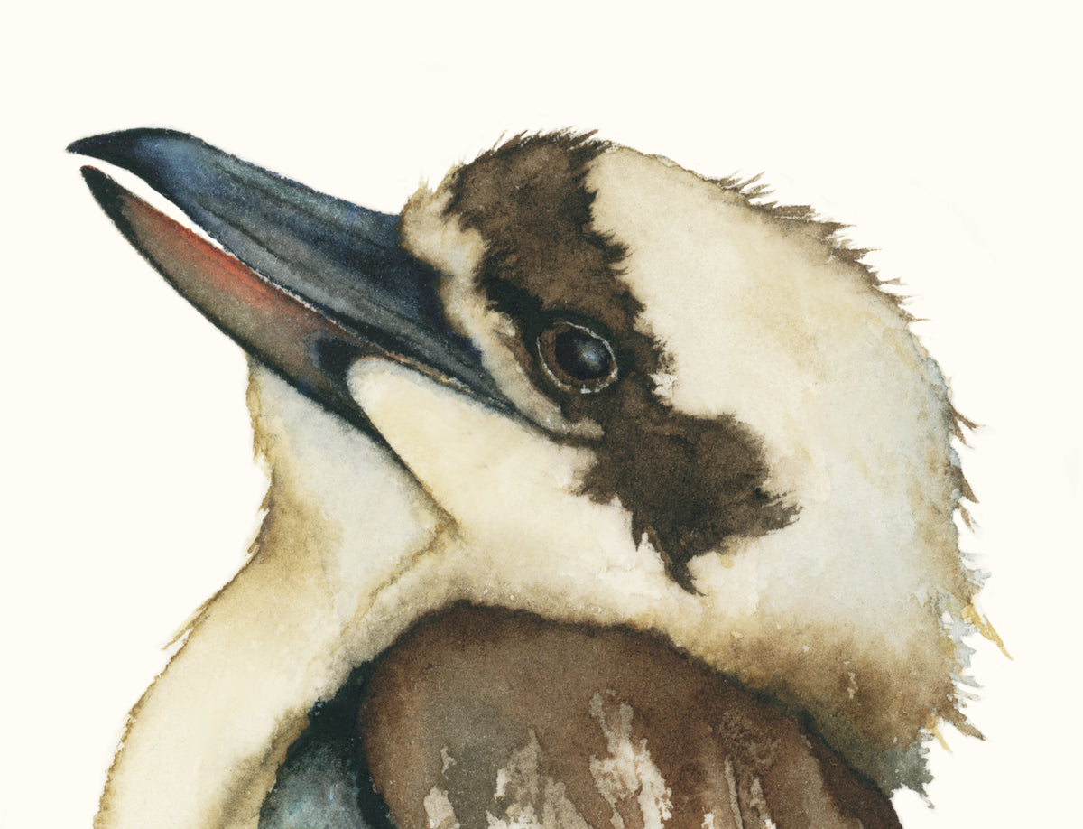 Joyous - Kookaburra Original Watercolor, 8.25x10
