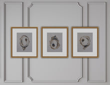 Load image into Gallery viewer, “Oyster in Linen No. 002” ORIGINAL 8x10 (2021)