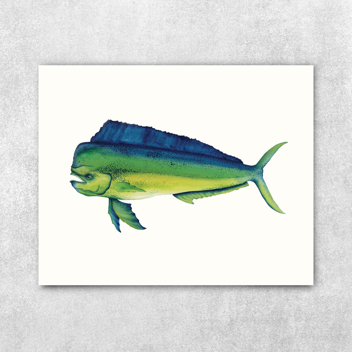 Mahi Mah - Mahi Mahi Fine Art Print