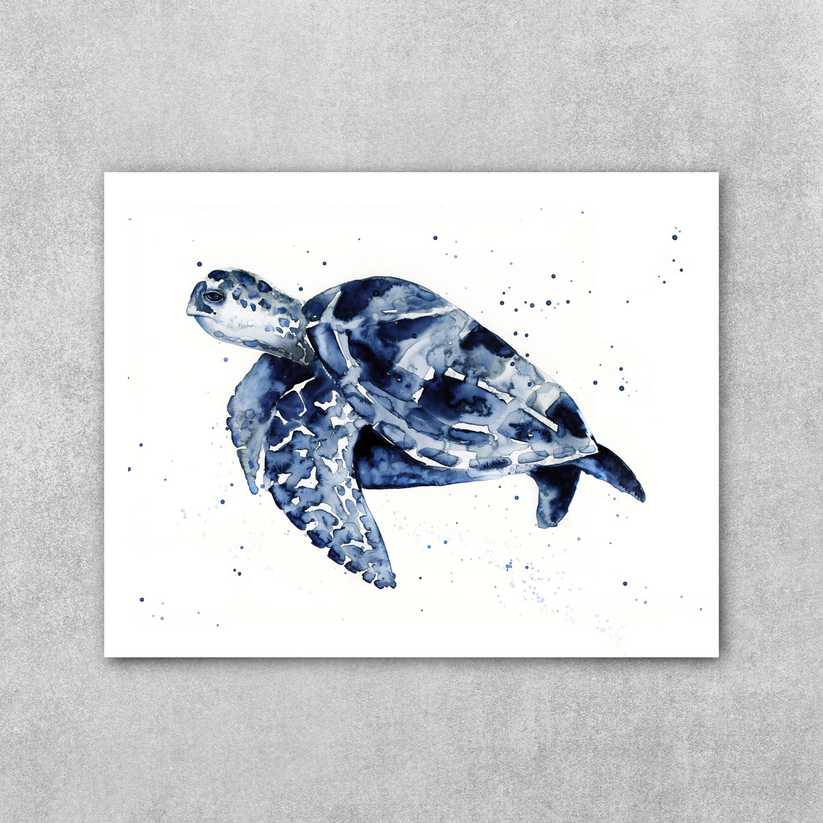 Midnight - Sea Turtle Fine Art Print