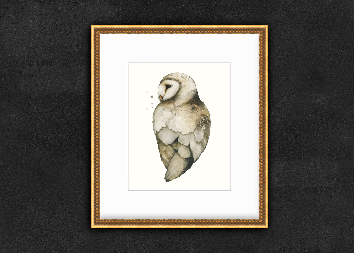 New Mercies - Barn Owl Fine Art Print