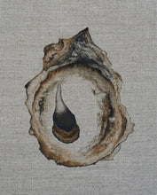 Load image into Gallery viewer, &quot;Oyster in Linen No. 002&quot; Linen Canvas Print (2021)
