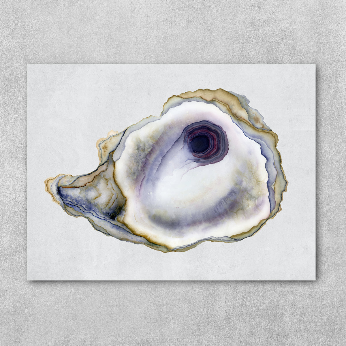 Peace & Lilac - Oyster Fine Art Print