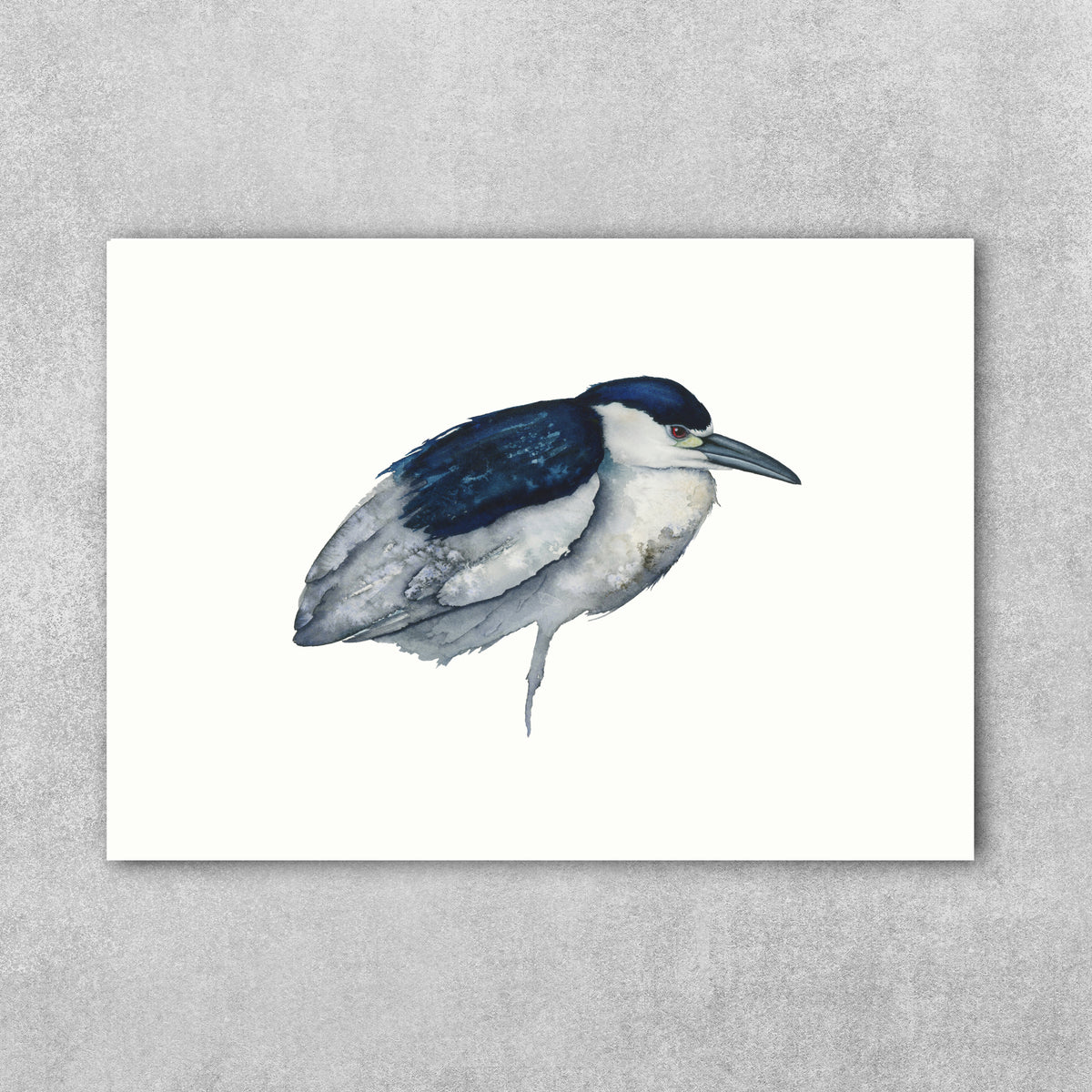 Presence - Night Heron Fine Art Print