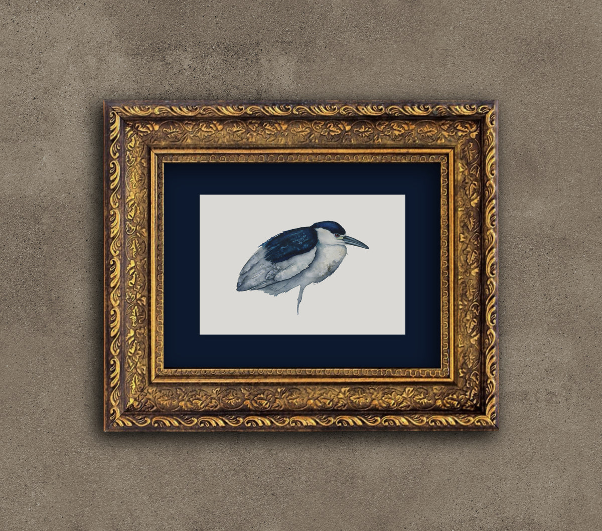 Presence - Night Heron Fine Art Print