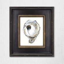 Load image into Gallery viewer, “Salt of the Earth” Fine Art Print - Oyster (2021)
