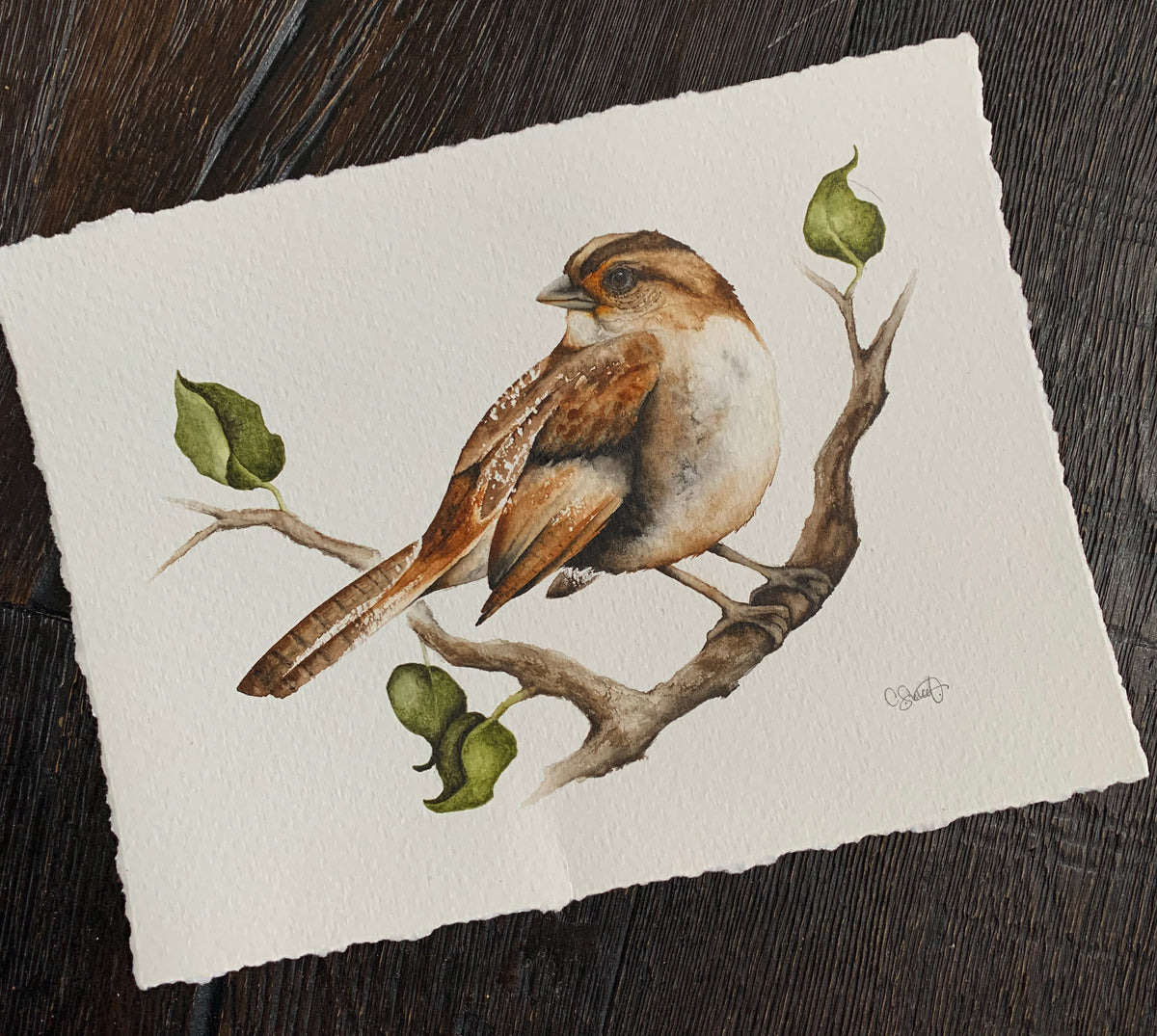 Serendipity - Sparrow Original Watercolor, 9.75x7.25