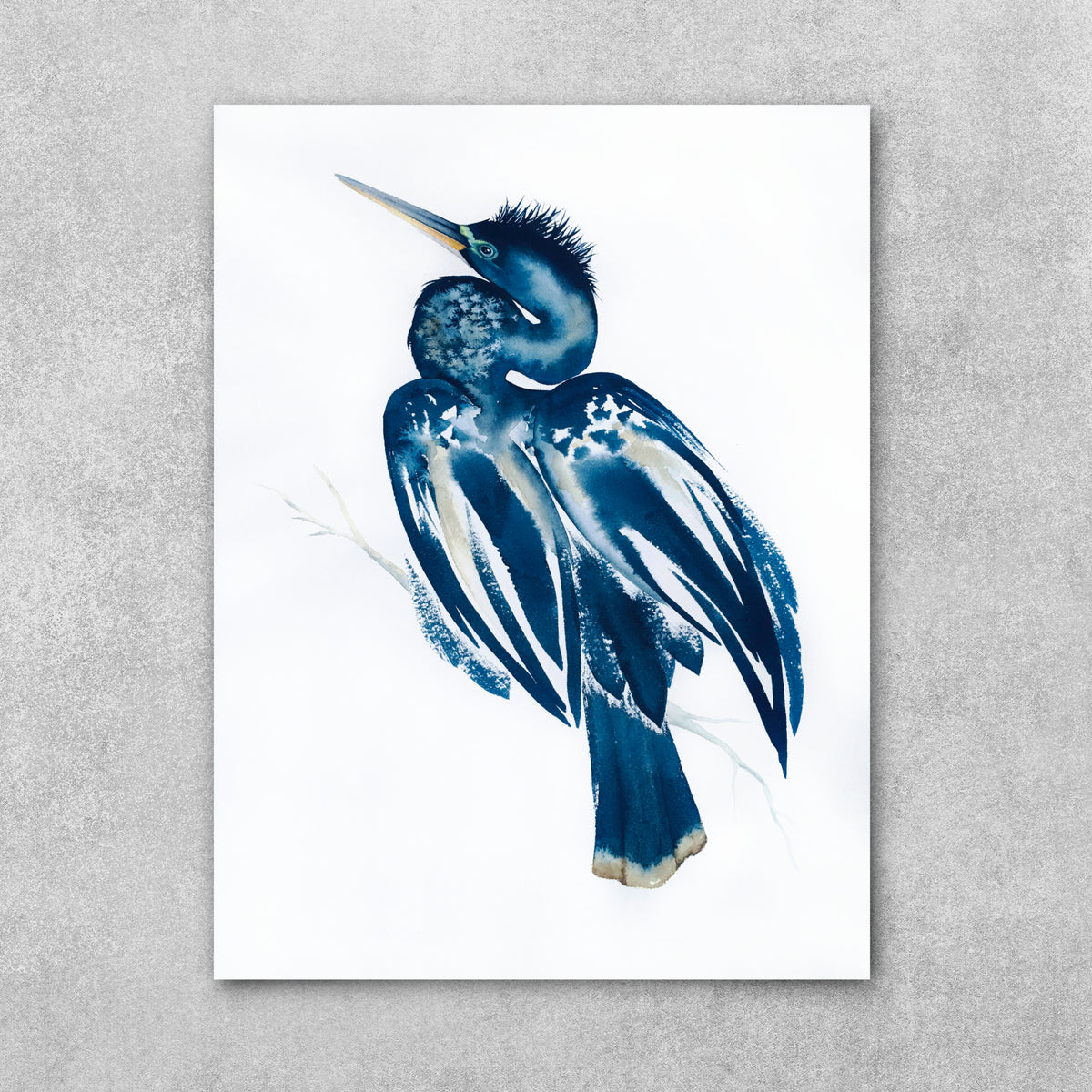 Sometimes I Wonder - Anhinga Fine Art Print