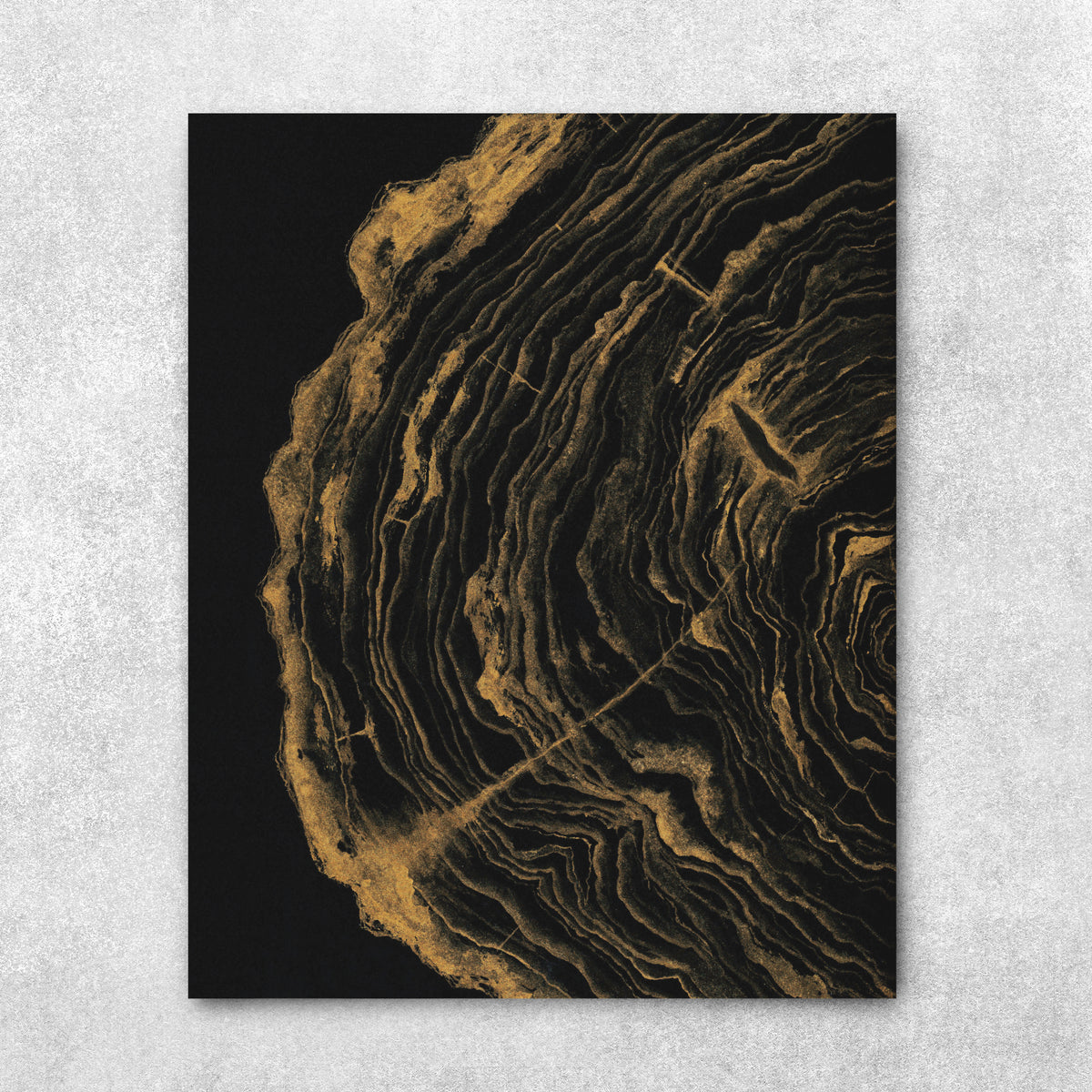 The Stories She Could Tell - Gold Tree Rings Fine Art Print