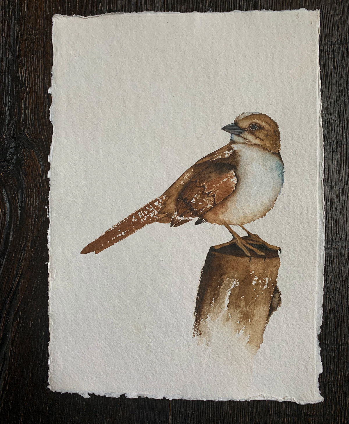 Under Thy Care - Sparrow Original Watercolor, 8.25x11.75