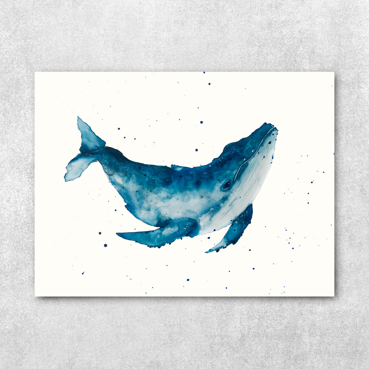 Wonder - Humpback Whale Fine Art Print