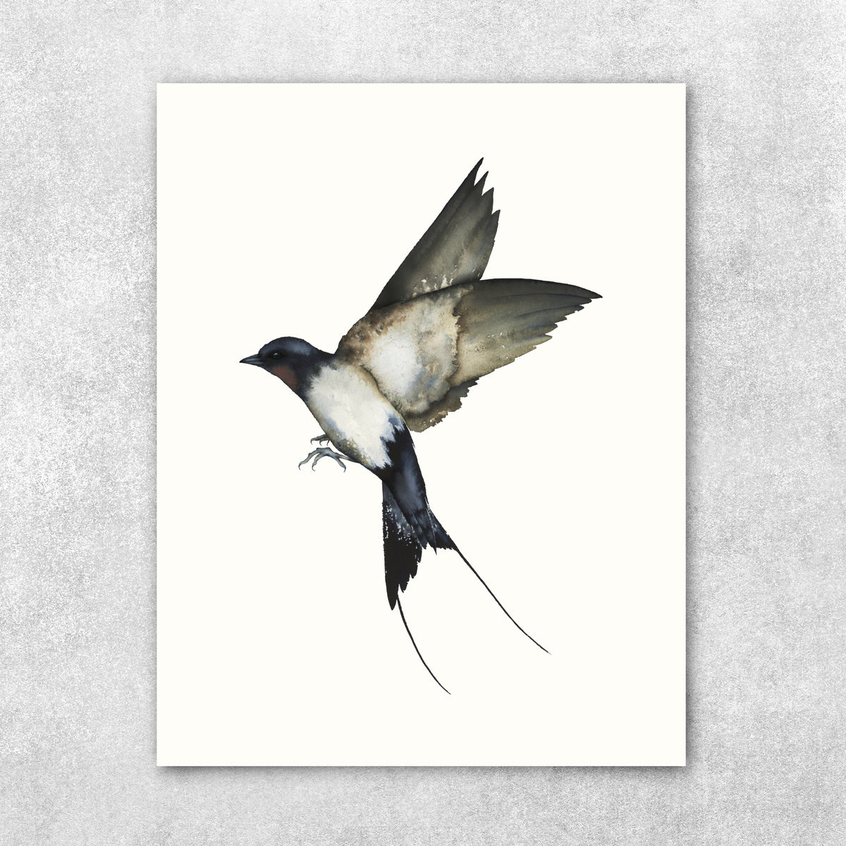A Soft Place To Land - Swallow Fine Art Print