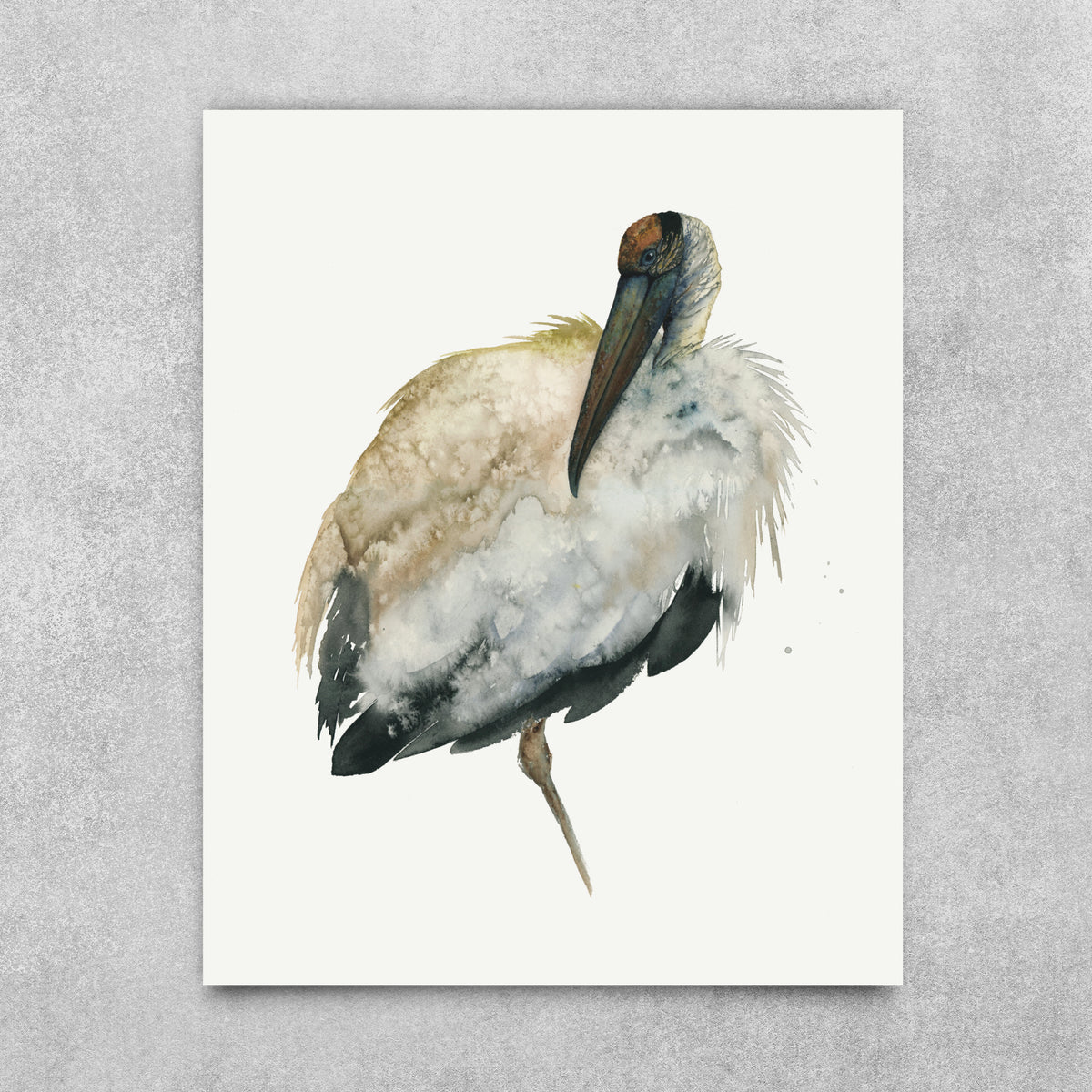 Archibald - Wood Stork Fine Art Print