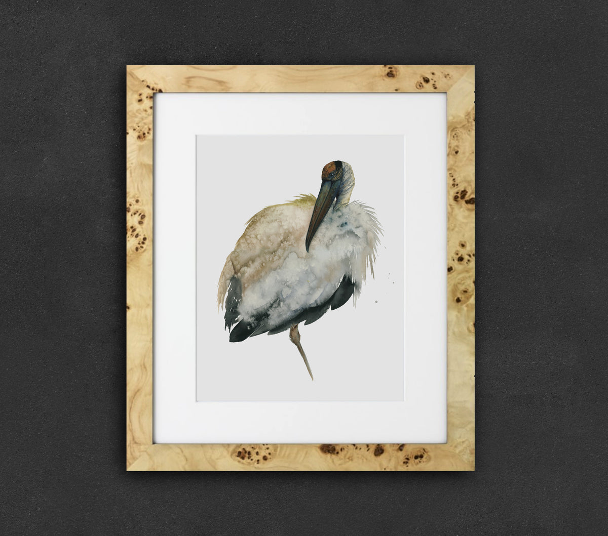 Archibald - Wood Stork Fine Art Print