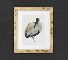Load image into Gallery viewer, “Archibald” Fine Art Print - Wood Stork (2020)

