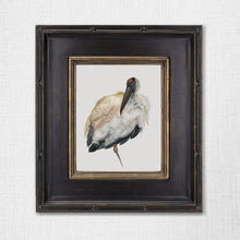 Load image into Gallery viewer, “Archibald” Fine Art Print - Wood Stork (2020)
