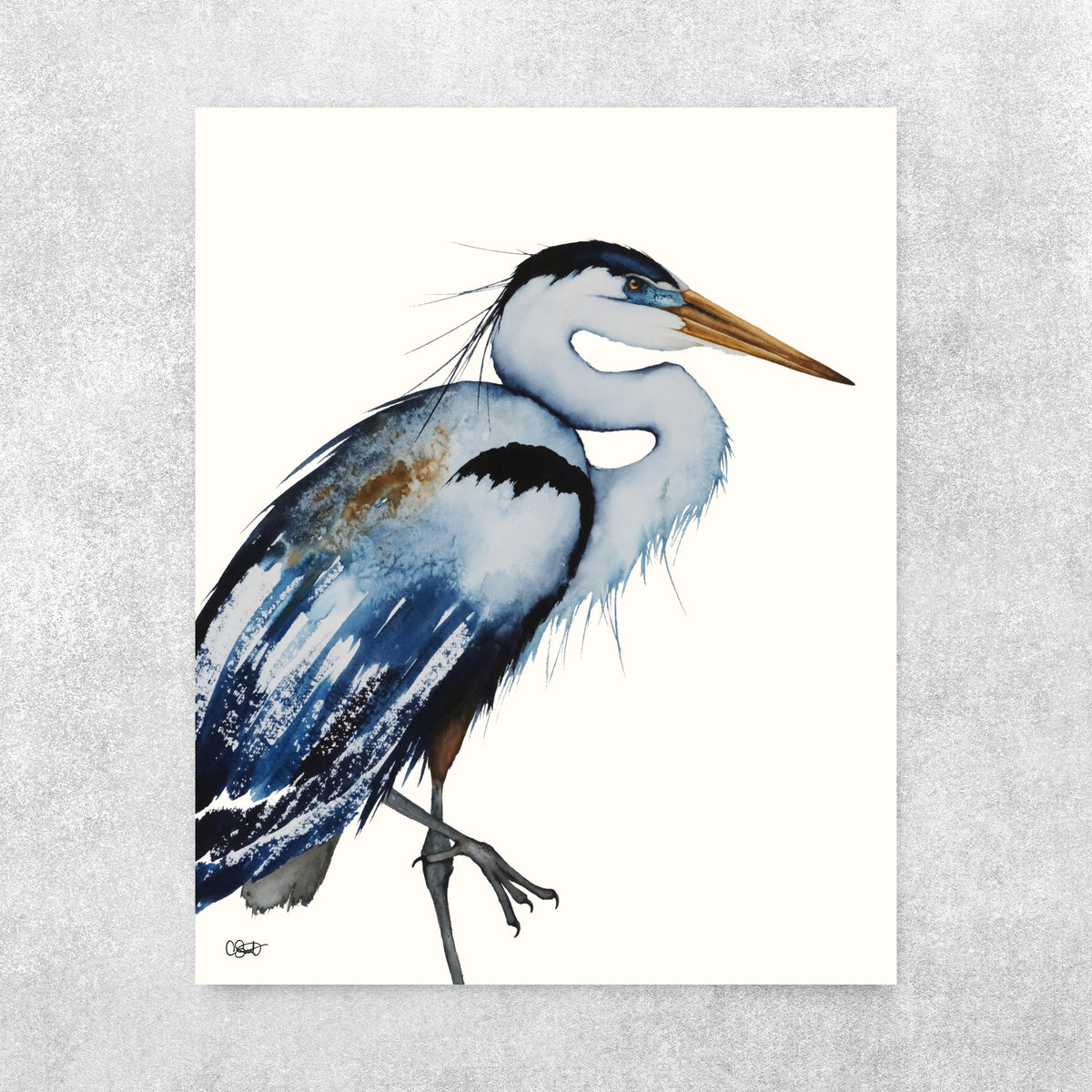 August - Great Blue Heron Fine Art Print