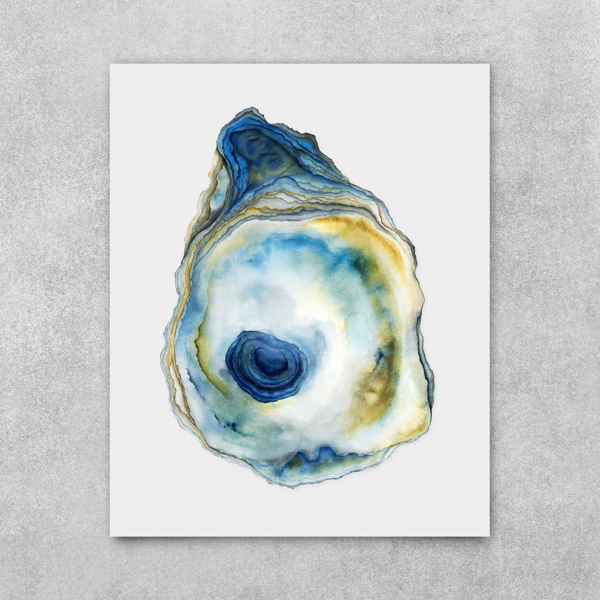 Blue Raju - Oyster Fine Art Print