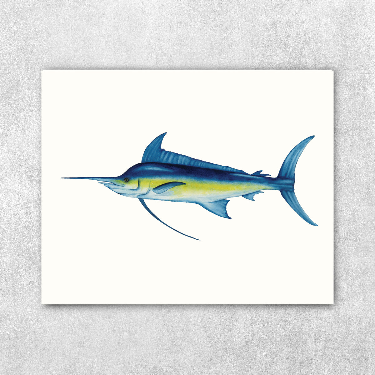 Captain Blu - Blue Marlin Fine Art Print