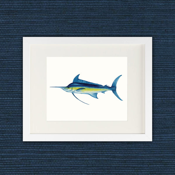 Captain Blu - Blue Marlin Fine Art Print