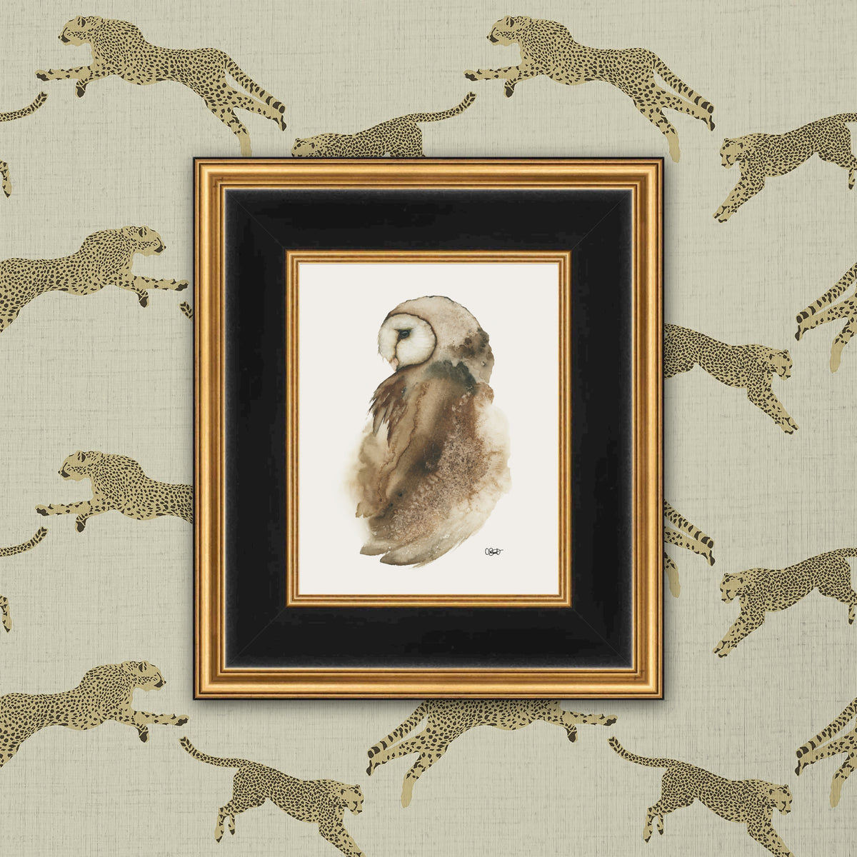 Coy Pond - Barn Owl Fine Art Print