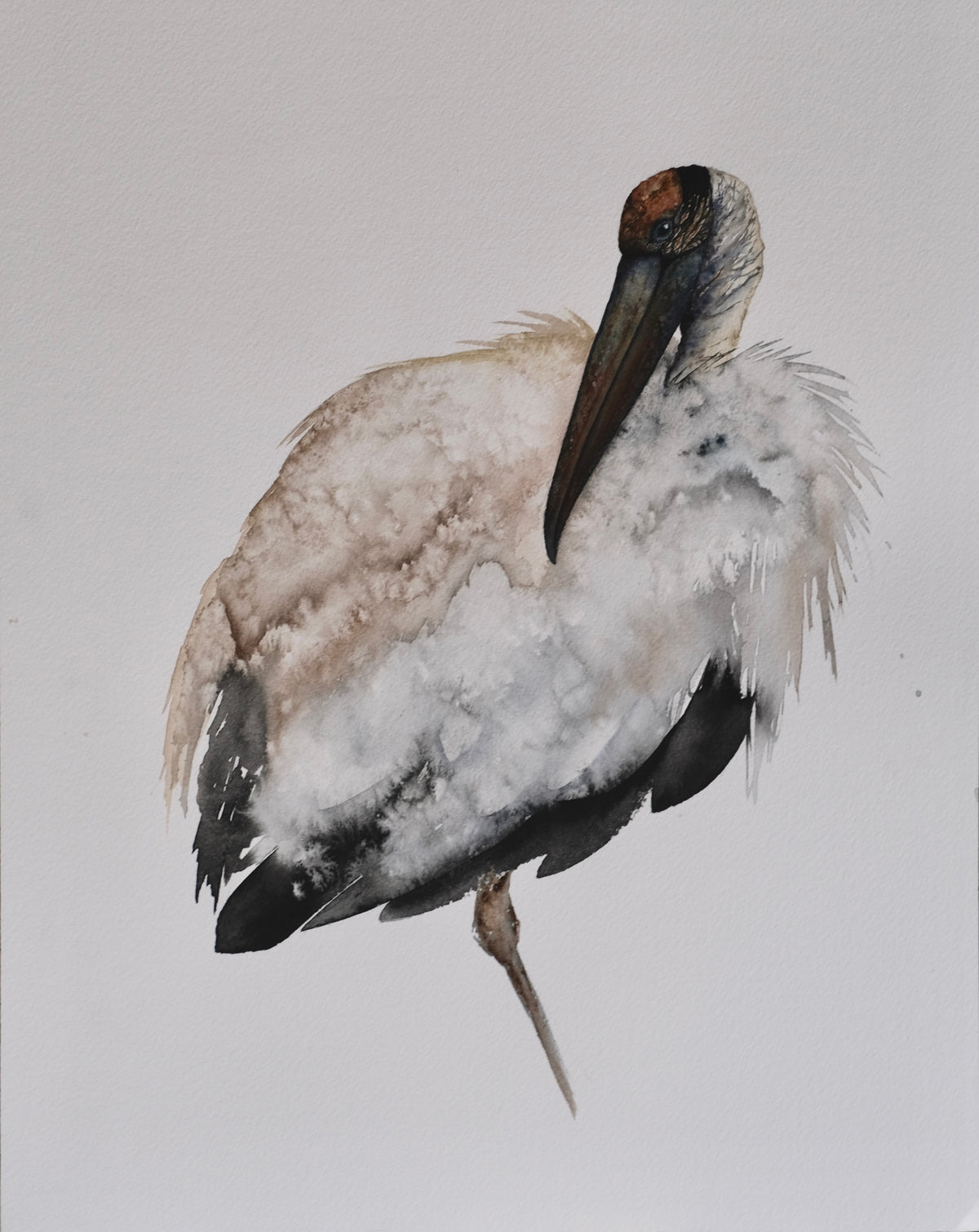 Archibald - Wood Stork Original Watercolor, 12x16