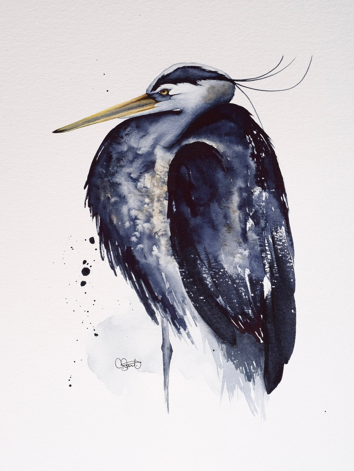 Quiet Suspicion - Great Blue Heron Original Watercolor, 12x16