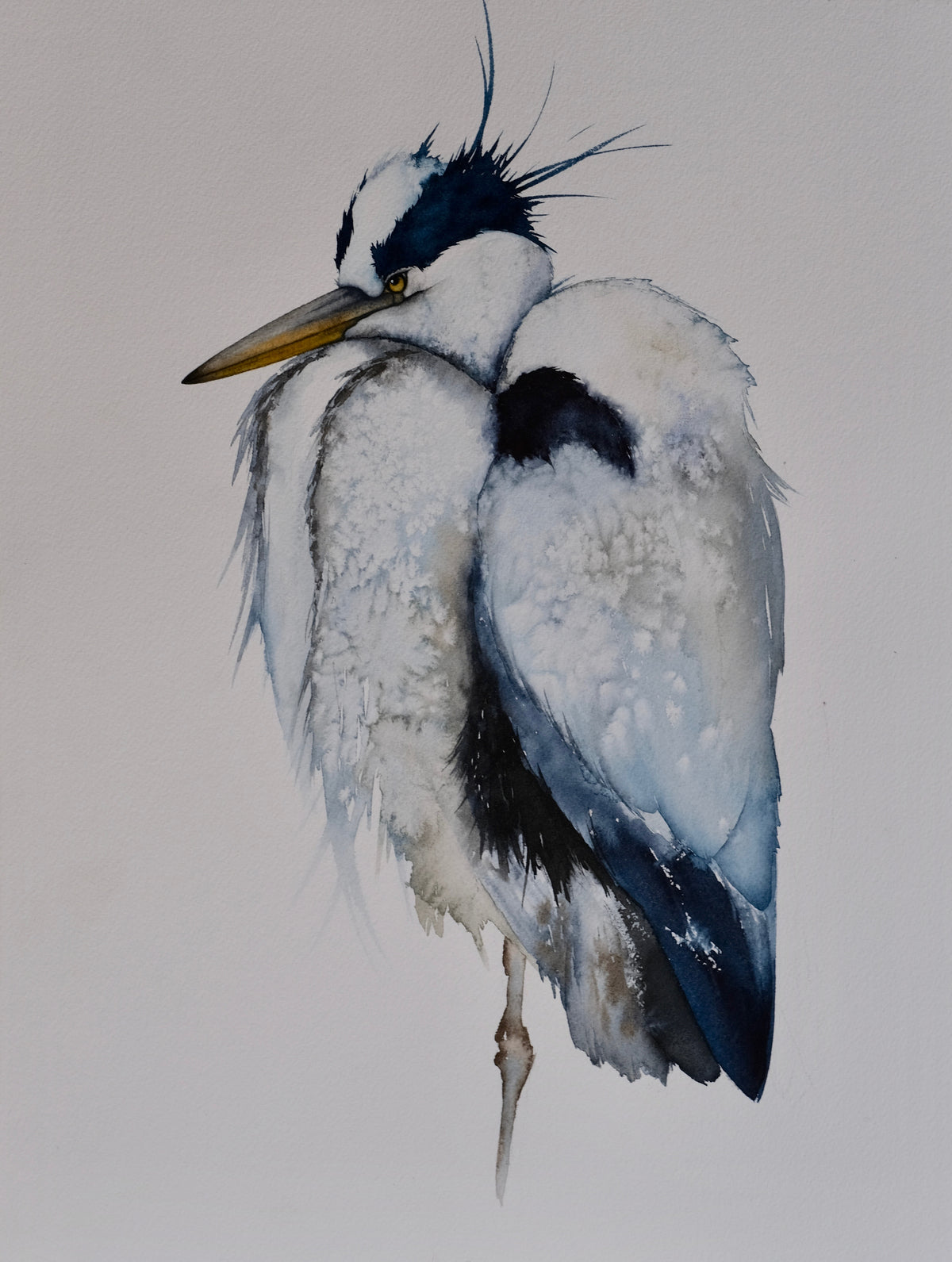 Somewhere - Great Blue Heron Original Watercolor, 12x16