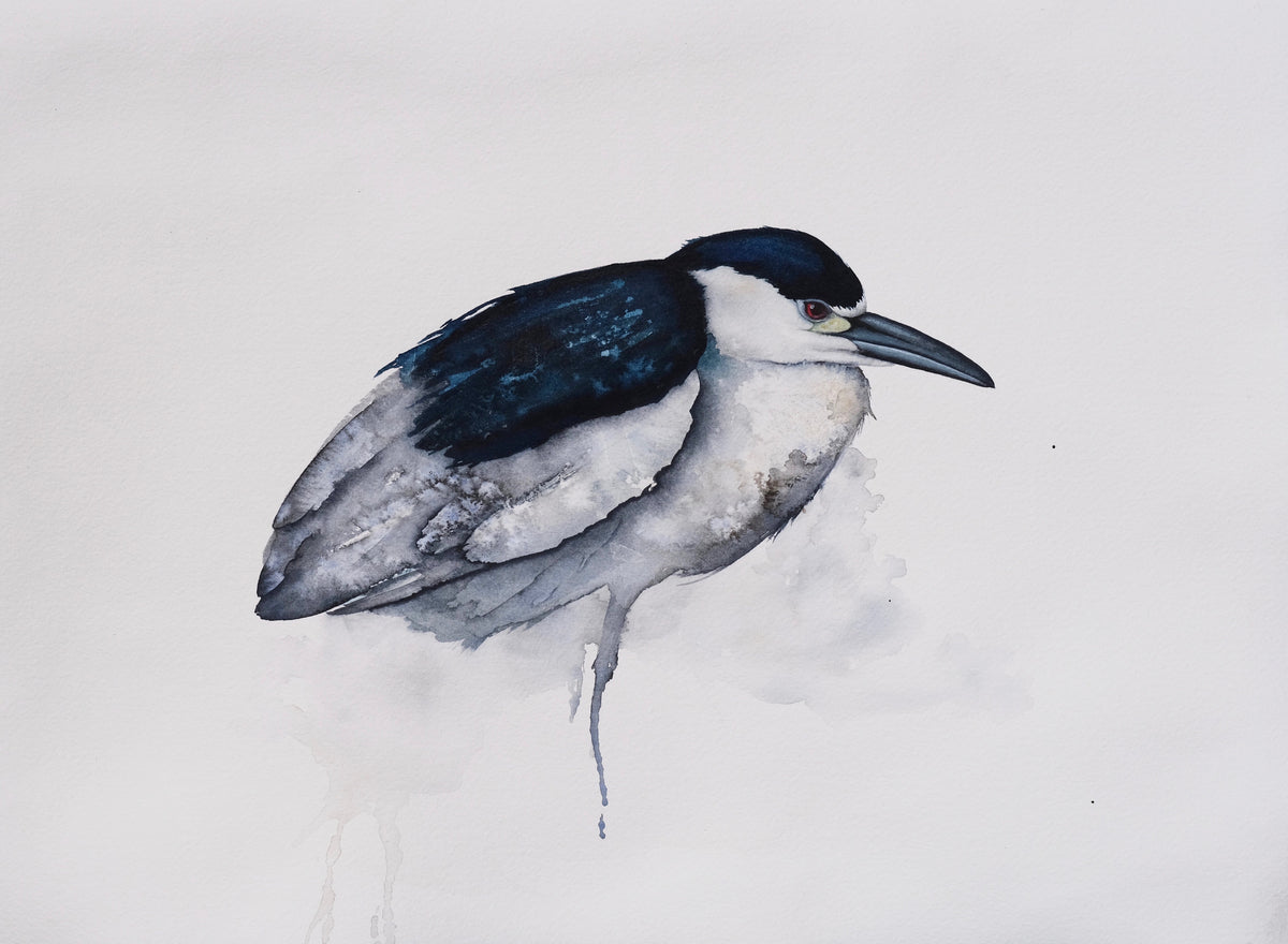 Presence - Night Heron Original Watercolor, 11x15