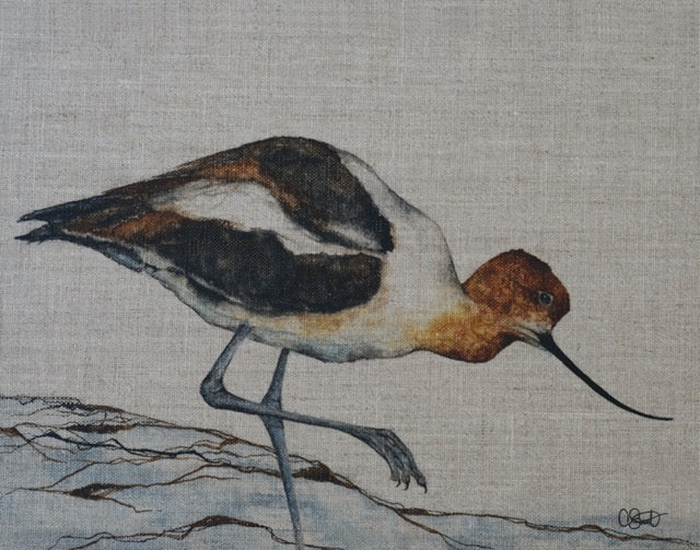 Shoreline Dancer - Avocet Linen Canvas Print
