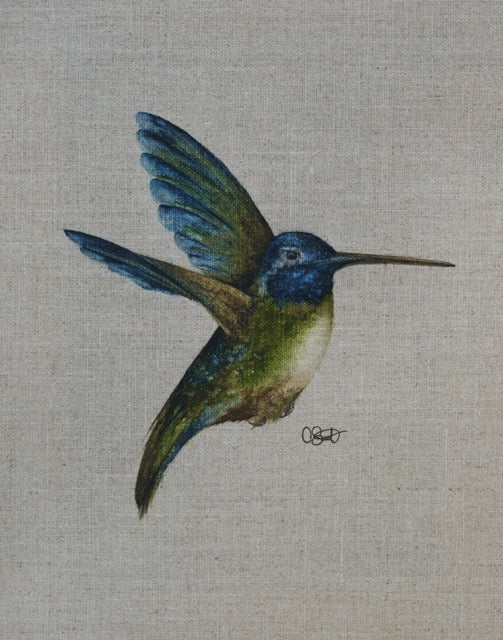 Spring Renaissance - Hummingbird Linen Canvas Print