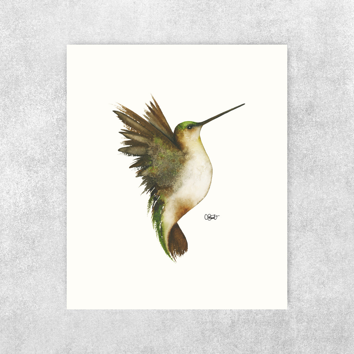 Evermore II - Hummingbird Fine Art Print